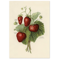 14f31e2f-3f74-4080-bffc-c9fdd3517f6c