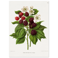 8f5d0f0b-d204-4350-94be-c60253bed2ad