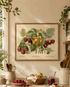 Hallon - Poster