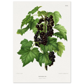 ae671283-650d-44d1-9deb-222542ca59fd