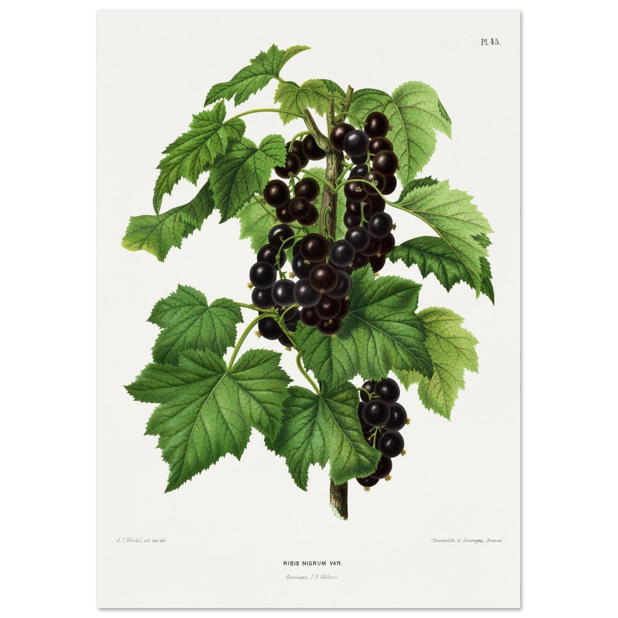 ae671283-650d-44d1-9deb-222542ca59fd