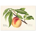 bbf5f324-0ed0-4786-a7e9-c41c3bd69fcb