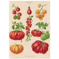 f218c308-1b90-4d96-8cdc-d981a0292ca8